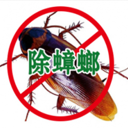 烏魯木齊除蟑螂